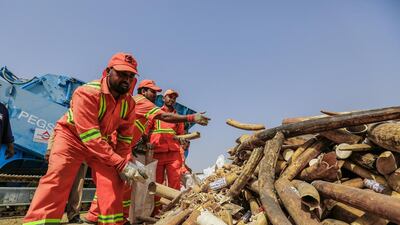 Government labourers stack the illegal ivory before it is put into a crushing machine and destroyed. Victor Besa for The National.