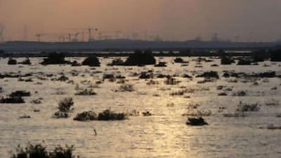 The course will be built on the wetlands of Saadiyat Island.