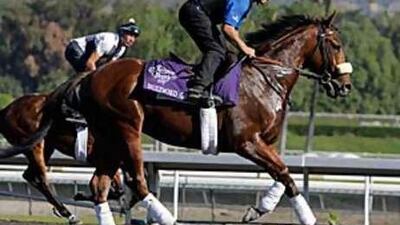 Buzzword holds key to Godolphin's bid at Epsom Downs.