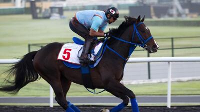 Hokko Tarumae is one of two Japanese horses slated to run in the final race of the night. Caren Firouz / Reuters