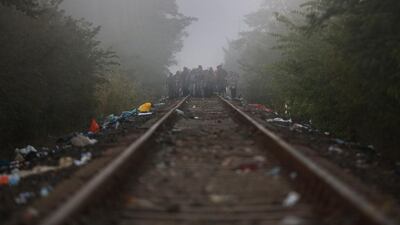 Migrants arrive at dawn at the Hungarian border in Roszke, Hungary. Since the beginning of 2015, the number of migrants using the so-called ‘Balkans route’ has exploded, with migrants arriving in Greece from Turkey and then travelling on through Macedonia and Serbia before entering the EU via Hungary.