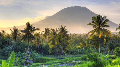 Emirates is to start flying to Bali on a daily basis. Courtesy Emirates