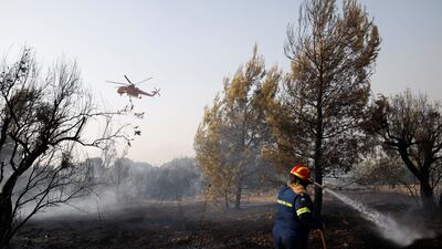 A firefighter sprays water in an attempt to fight a wildfire in the Varympompi suburb north of Athens.