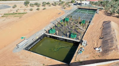 Mohamed Al Nuaimi's agroponic system is being used to rear fish and grow crops in Sharjah. Photo: Mohamed Al Nuaimi