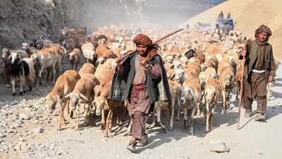 Afghan shepherds walk with their flock in the mountainous Argo district of Badakhshan province. AFP