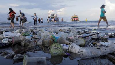 Despite recycling efforts, most plastic can persist for hundreds of years in the environment, so researchers are searching for better ways to eliminate it. Reuters