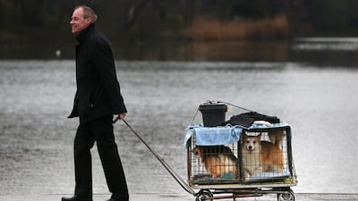 Dogs and their owners arrive to attend the first day of Crufts dog show. (Matt Cardy / Getty Images / March 6, 2014)