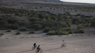 Visitors set out for their mountain bike ride, which is one of the many activities offered to visitors on the Sir Bani Yas Island, one of the largest natural island in the UAE. Silvia Razgova / The National