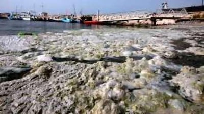 Filth pollutes the water near the sailing club.