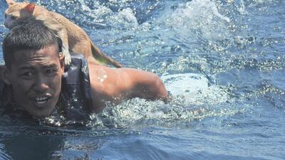 A Thai navy officer swims with a rescued cat on his back. Reuters