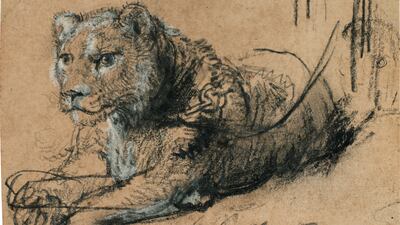 Rembrandt's Young Lion Resting will be shown around the world ahead of its February 2026 auction. Photo: Sotheby's