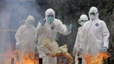 Indonesian soldiers during a joint bird flu prevention drill in Jakarta, Indonesia. Asia is responsible for nearly half the recorded fatalities worldwide.