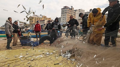 Palestinians fishermen sort their haul of fish caught in their nets along a beach in Gaza City. AFP