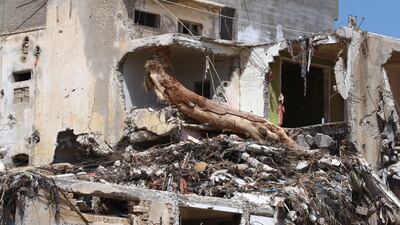 A tree trunk hurled into a building by the force of Storm Daniel. Reuters