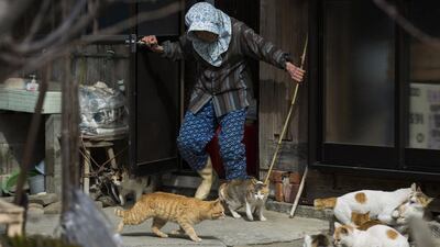 A local woman shoos away cats as she leaves her house on Aoshima Island in Ehime prefecture in southern Japan. Thomas Peter / Reuters