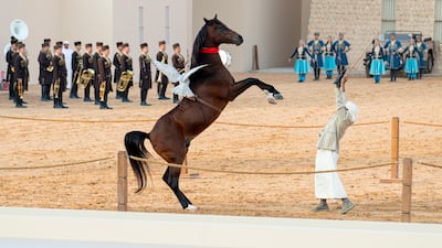 A horse trainer shows off his skills