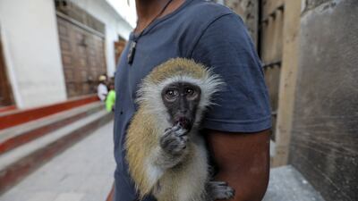 A man carries a young pet monkey in Zanzibar, Tanzania. EPA