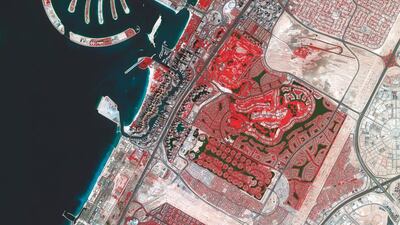 The photograph uses false colours to represent certain types of areas. Vegetation is marked in red. Courtesy Dubai Media Office
