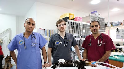 From left, Dr Rajat Mukherjee, Dr Nicolas Terraz and Dr Ahmad Jakish, the British Veterinary Centre doctors who helped save a German man’s life after he collapsed outside their centre in Abu Dhabi. Fatima Al Marzooqi / The National
