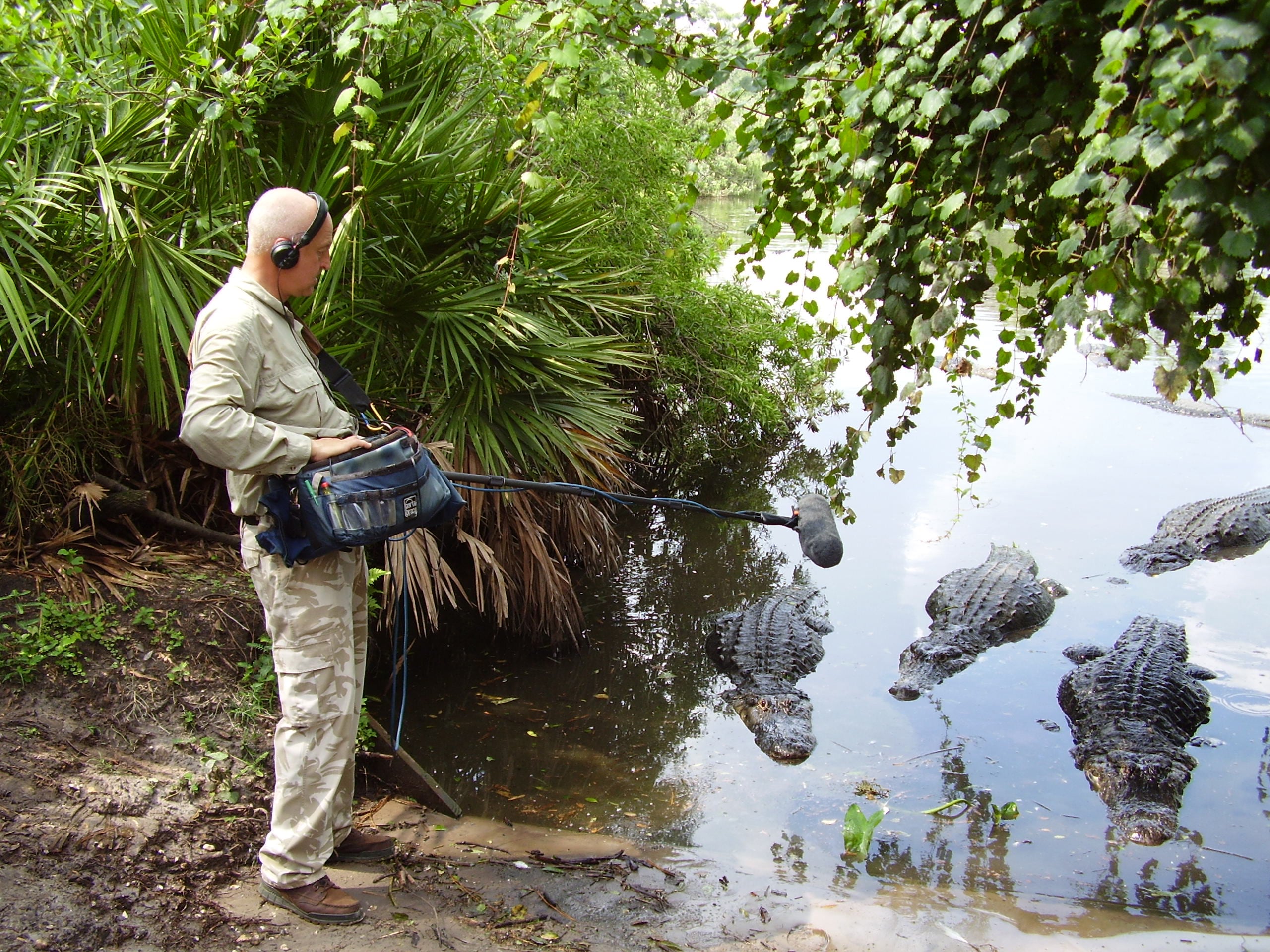 Chris Watson recorded alligators for National Geographic’s sonic identity, created by Syn with guitarist David Torn. Photo: Nick Wood Music