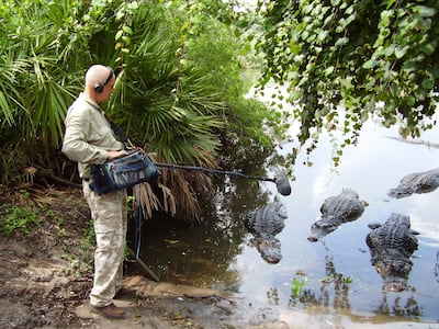 Chris Watson recorded alligators for National Geographic’s sonic identity, created by Syn with guitarist David Torn. Photo: Nick Wood Music