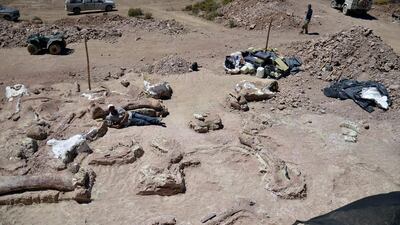 The area where fossils of a dinosaur – likely to be the largest ever to roam the earth – were found in Chubut, some 1,300 kilometres south of Buenos Aires. Museo Egidio Feruglio / AFP