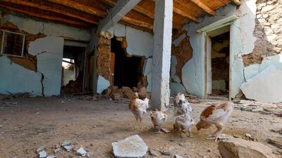 Chickens peck for food at an abandoned home in Afella Igir. AFP