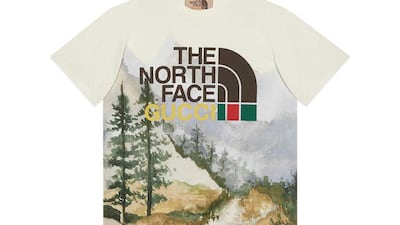 A T-shirt with an alpine snow scene.