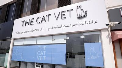 The Cat Vet on Hessa Street in Dubai. Photo: Chris Whiteoak / The National