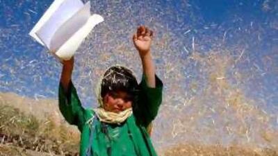 In Hana Makhmalbaf's film Buddha Collapsed Out of Shame , an eight-year-old girl tries to go to school and is terrorised by a group of boys.