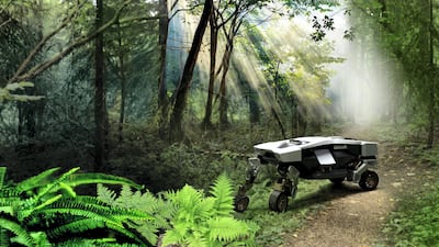 The Tiger in a wilderness location.