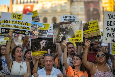 Animal rights activists protesting in Istanbul ahead of legislators approving a new law aimed at removing millions of stray dogs from Turkey's streets. AP
