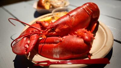 A recent war of words about a controversial US AI chip export policy has taken a strange turn as a deadline fast approaches. AP