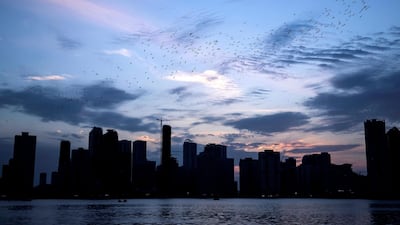 The Sharjah government on Tuesday said it is taking measures to help businesses affected by the coronavirus pandemic. Reem Mohammed / The National