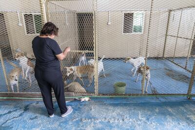 Michelle Francis, founder of the Animals and Us shelter in Fujairah. Antonie Robertson / The National