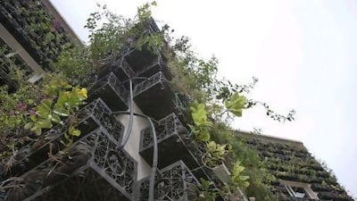 An irrigation system delivers grey water to plants that drape the exterior of Liwa International School in Al Ain. Pawel Dwulit / The National