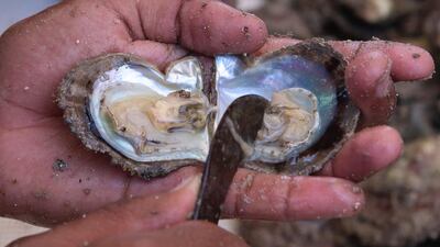Aboard traditional sailing dhows, the young men, many still teenagers, learn how to sail, dive, prepare the boats and sing songs as Kuwaitis did in the past.