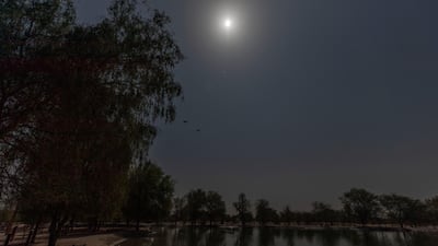 The partial eclipse appears over the UAE at Al Qudra Lakes, Dubai. Chris Whiteoak / The National