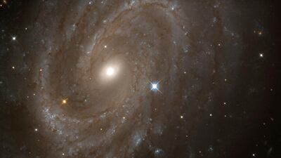 A Nasa Hubble Space Telescope view of the spiral galaxy NGC 4603, the most distant galaxy in which a special class of pulsating stars has been found. Jeffrey Newman, University of California at Berkeley and Nasa