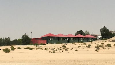 Al Wathba horse ranch in Abu Dhabi