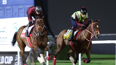 Stablemates American Stage, left, and Forever Young gallop around the Meydan Racecourse in preparation for Saturday's Dubai World Cup 2026. EPA