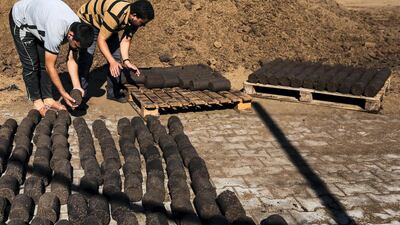 Gazan Entrepreneur Project Turns Olive Waste into a Valuable Resource. The team uses its machine to produce green cakes. Photo by Muhammad Shehada