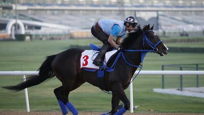 Japanese horse Hokko Tarumae gets in work on Tuesday at Meydan Racecourse ahead of the Dubai World Cup on Saturday. Ali Haider / EPA