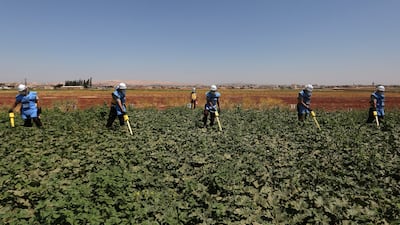 They include the family of Zakia al-Boushi who, on a fateful day in 2017, went out with eight relatives in Aleppo province searching for the precious white truffles that grow in the desert sands in winter. Only three of them returned alive.