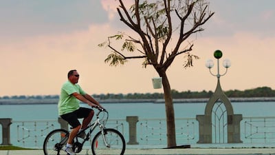 Philip Cheung / The National