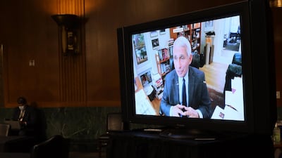Anthony Fauci, director of the National Institute of Allergy and Infectious Diseases, speaks via teleconference during a Senate Health, Education, Labor, and Pensions Committee hearing in Washington, D.C., U.S., on Tuesday, May 12, 2020. Amid the sharpest downturn in U.S. history, President Donald Trump has been pressing to begin relaxing the lockdowns that have shuttered businesses despite warnings from some public health experts that doing so too quickly risks a further spread of the virus. Photographer: Win McNamee/Getty Images/Bloomberg