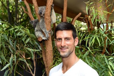 Novak Djokovic at the Lone Pine Sanctuary in Brisbane ahead of the 2020 ATP Cup. Getty Images