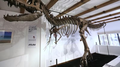 The skeleton of a juvenile tyrannosaurus rex, named Tinker, has gone on show at the Etihad Modern Art Gallery in Abu Dhabi. The bones of the young dinosaur were dug up in South Dakota, the US, 10 years ago. His hosts hope a buyer can be found to keep Tinker in the UAE. Delores Johnson / The National