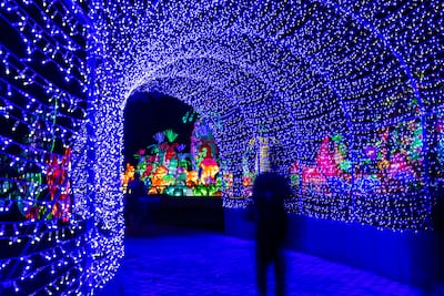 The installations at Dubai Garden Glow feature energy-saving bulbs. Victor Besa / The National