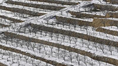 Fields covered with snow in the region of Dahr al-Baidar, east of Beirut. Joseph Eid / AFP